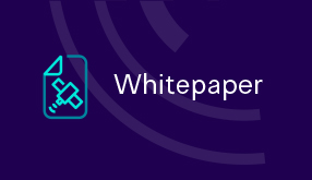 Whitepaper